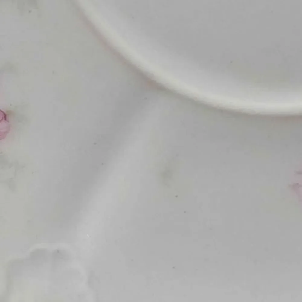 Haviland Limoges Teacup and Saucer Pink Flowers Vintage